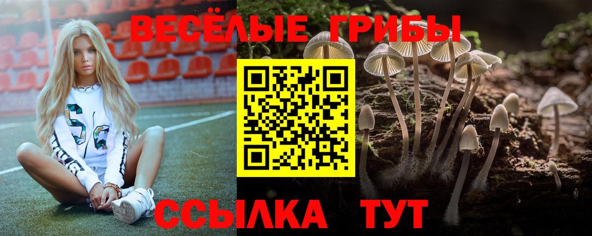 Псилоцибиновые грибы Magic Shrooms  Вход с VPN  Псилоцибиновые грибы мухоморы  Егорьевск 